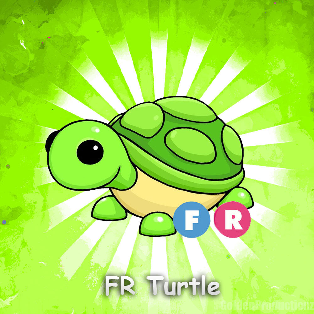 FR Turtle