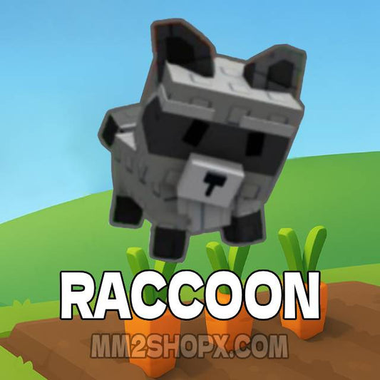 Racoon