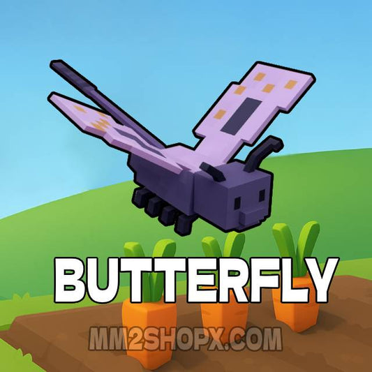 Butterfly